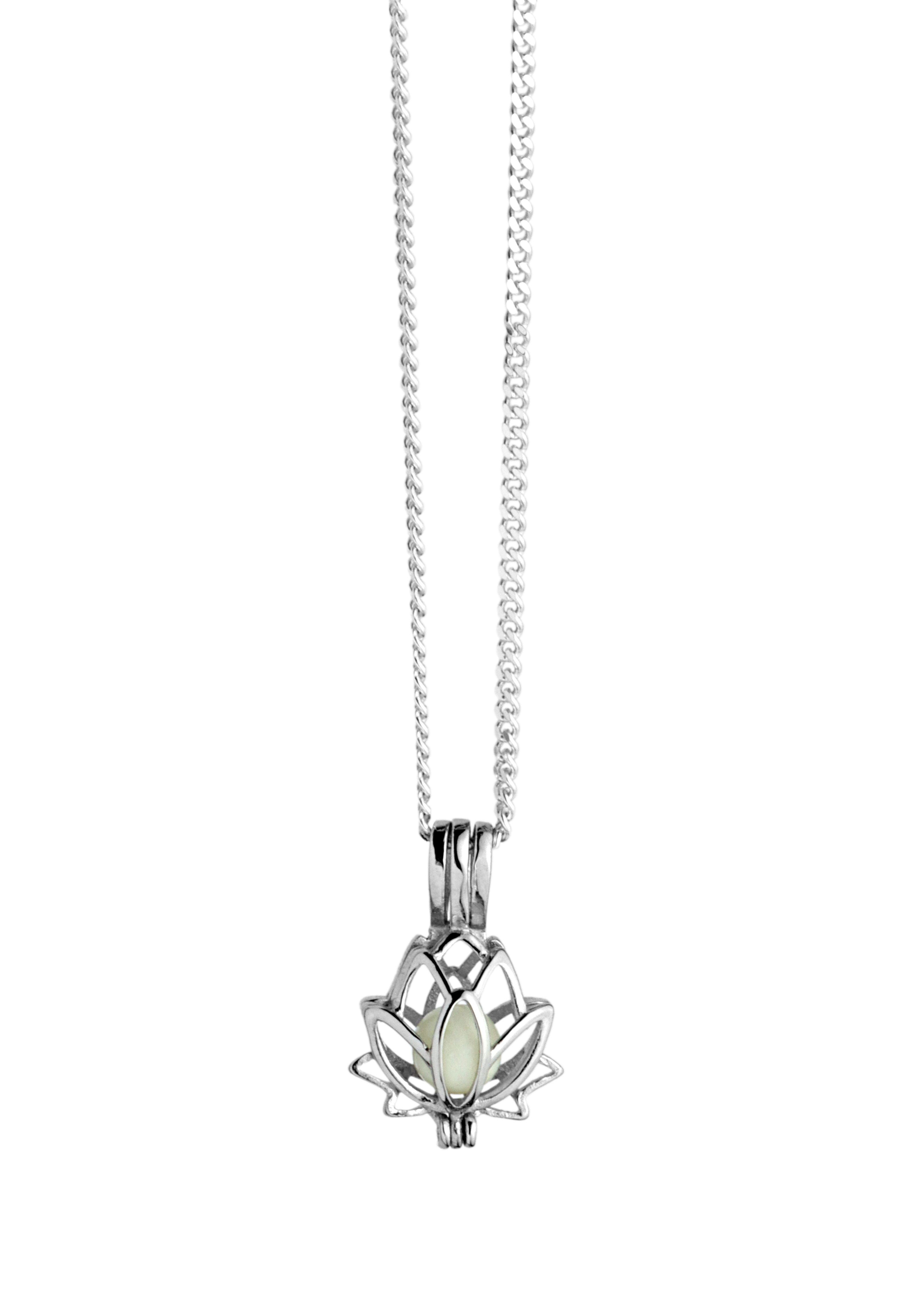 Lotusblume Lotusblume